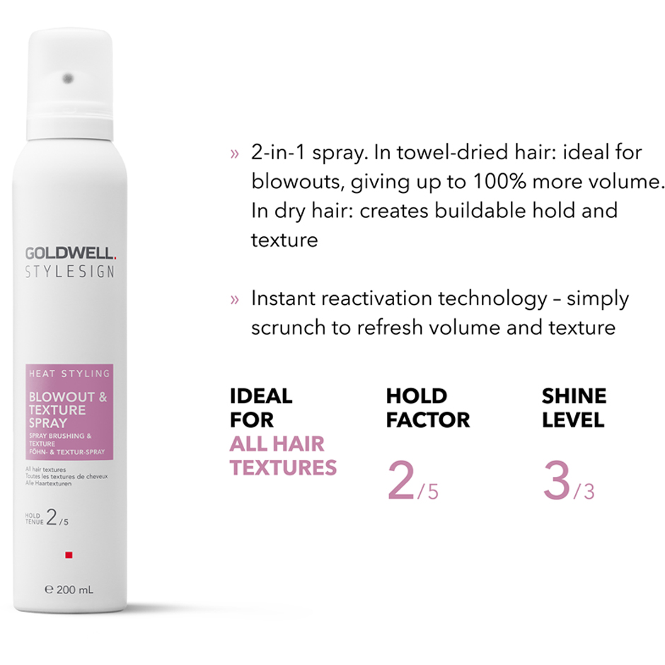 StyleSign Blowout & Texture Spray