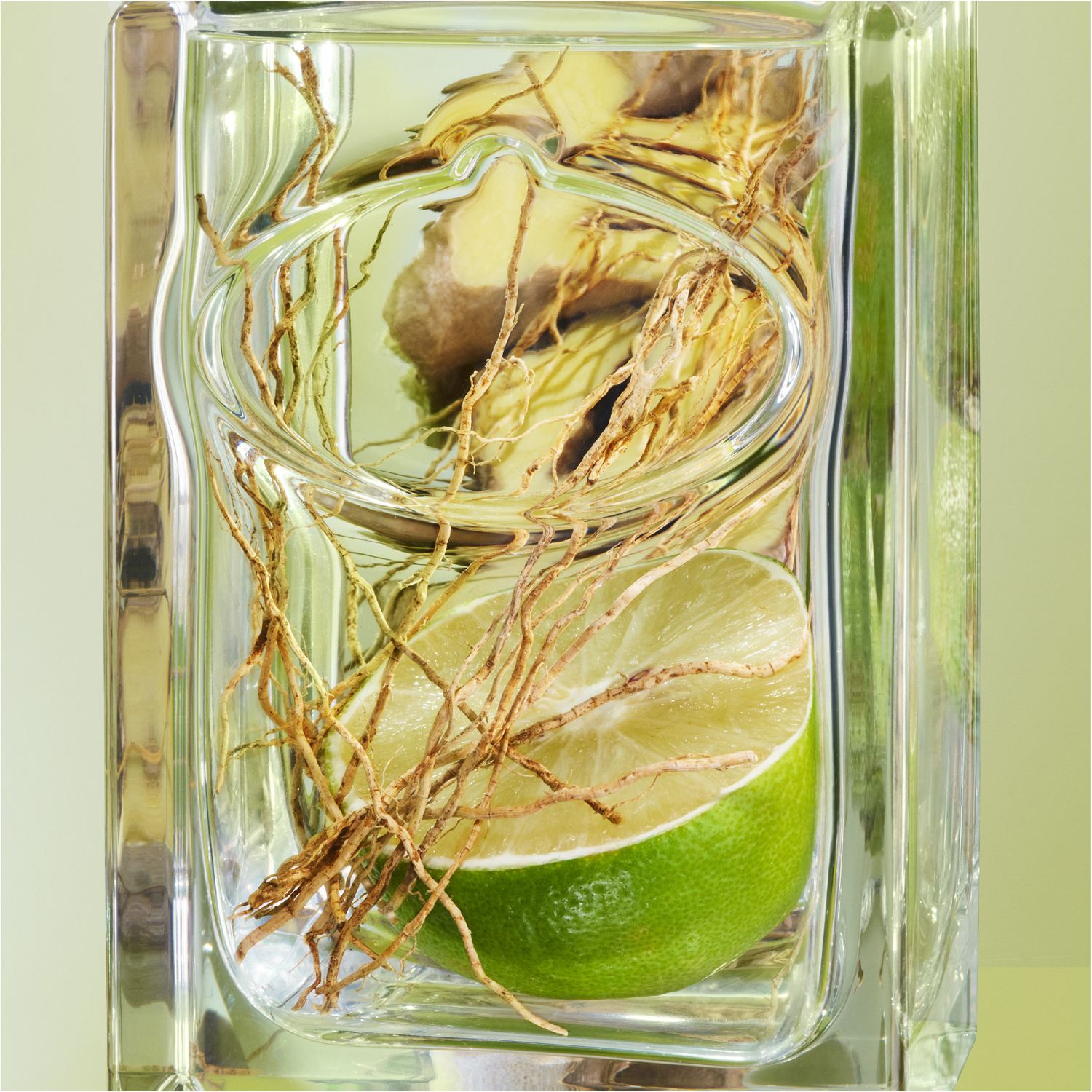 Infusion de Vetiver