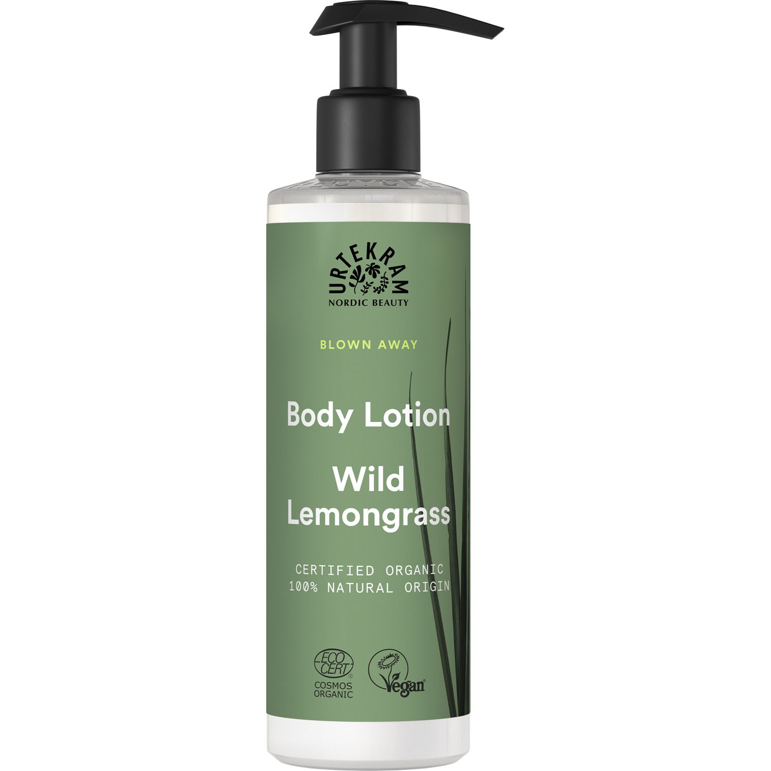 Body Lotion