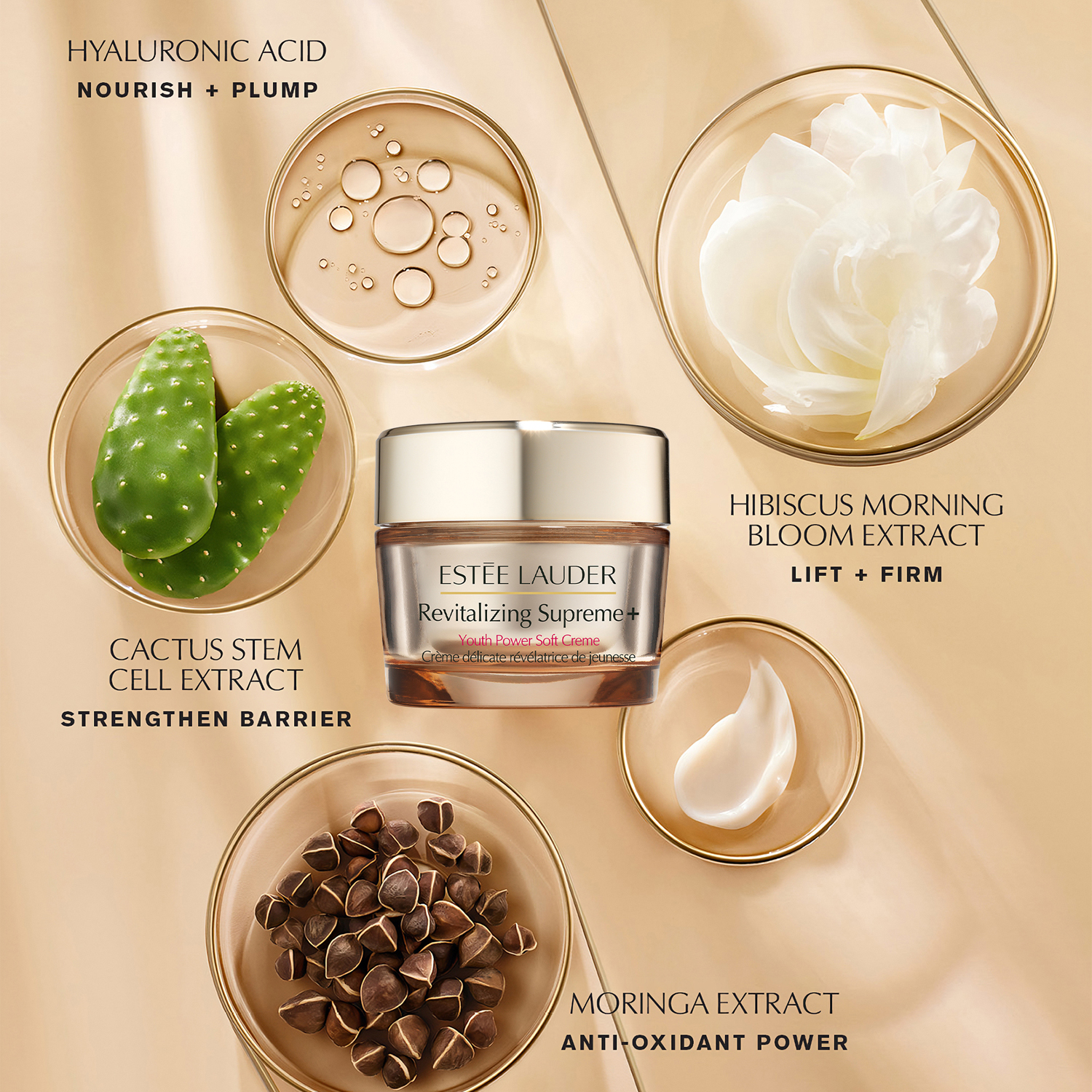 Revitalizing Supreme+ Soft Cream