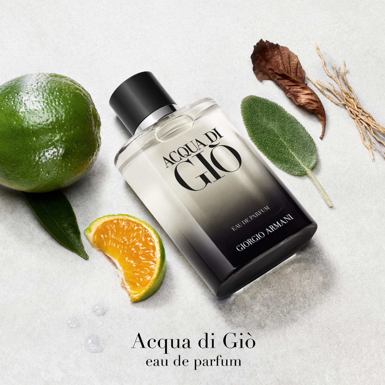 Acqua Di Gio Homme