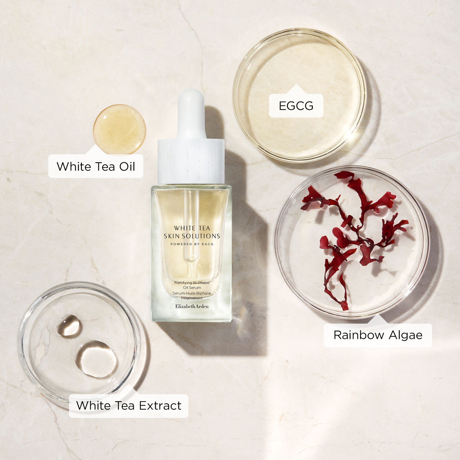 White Tea Skin Bi-phase Oil Serum