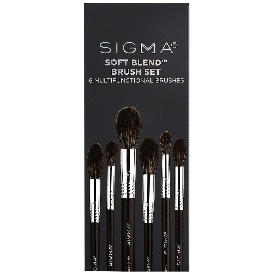 Soft Blend Brush Set