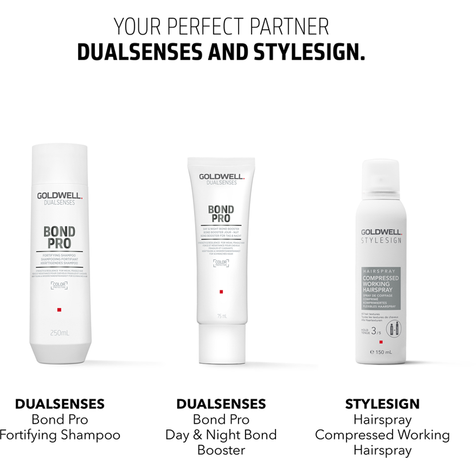 StyleSign Compressed Hairspray