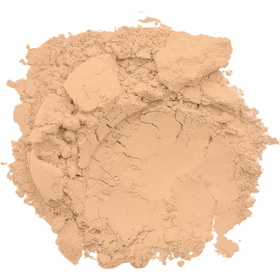 Conceal + Perfect Shine-Proof Powder